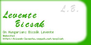 levente bicsak business card